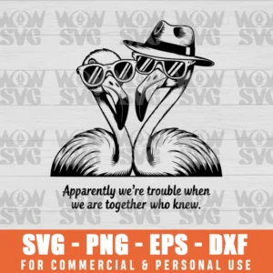 APPARENTLY WE ARE TROUBLE WHEN WE WERE TOGETHER WHO KNEW SVG PNG EPS DXF CRICUT FILE SILHOUETTE ART