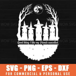 Funny I Like My Friends Cancelled Witch Svg Png Eps