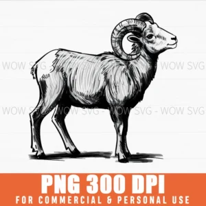 Outdoor Hunting Rocky Mountain Bighorn Sheep Ram Full Curl Png