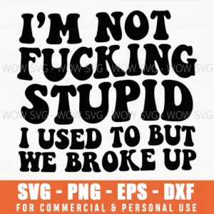 I Am Not Fucking Stupid I Used To But We Broke Up Funny Sassy Svg