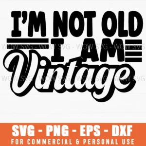 Im Not Old I Am Vintage Birthday Retro Classic Funny Svg Png