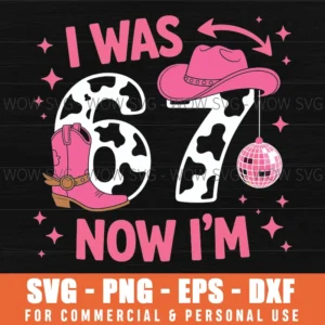 I Was 6 Now Im 7 7Th Birthday Cowgirl Svg Png