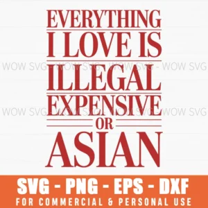 Everything I Love Illegal Expensive Or Asian